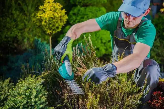 landscaping services McKee